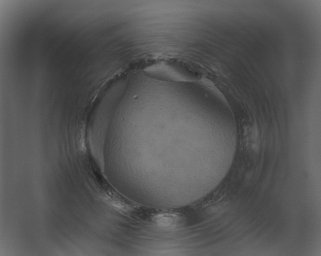 X0000067850508200604201311