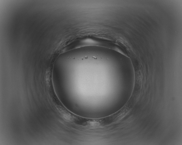 X0000067850509200604201311