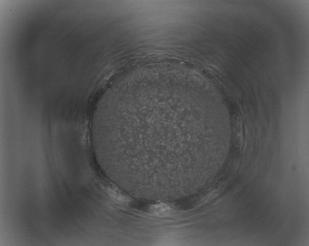 X0000067850511200604201311