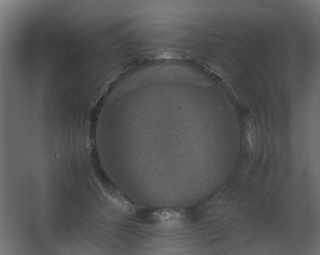 X0000067850512200604201311