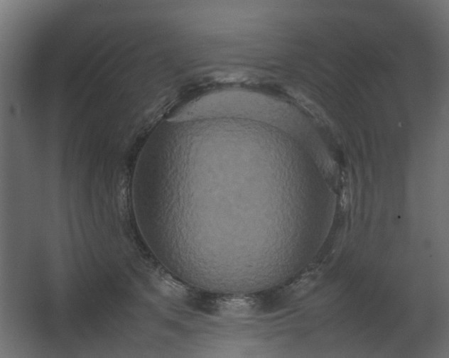 X0000067850513200604201311