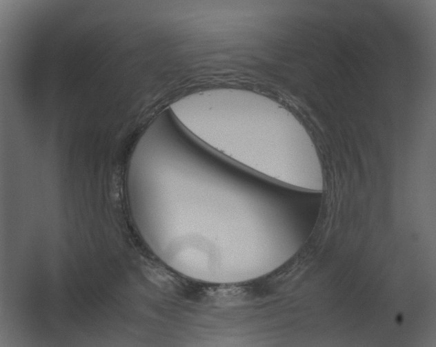 X0000067850517200604201311