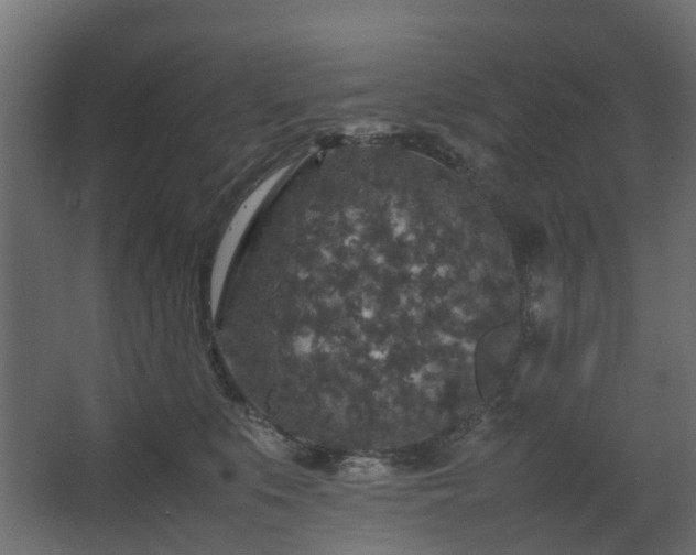 X0000067850519200604201311