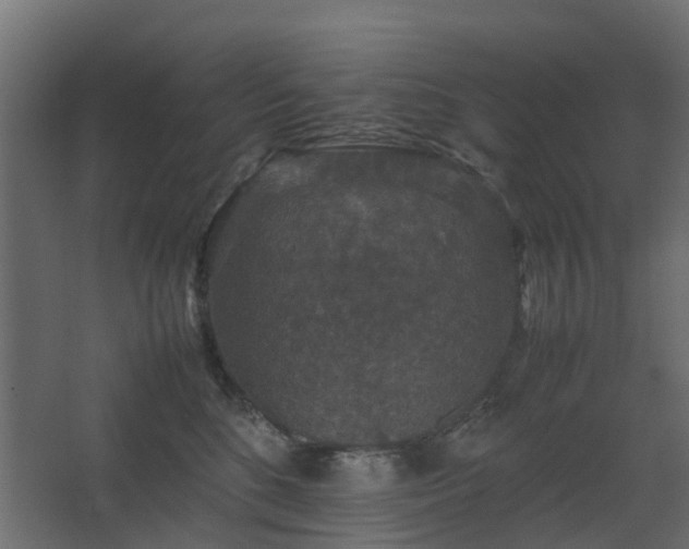 X0000067850520200604201311