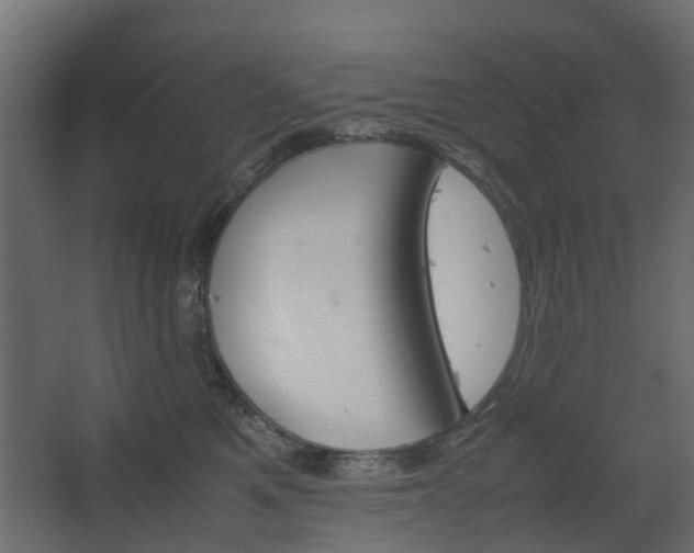 X0000067850521200604201311