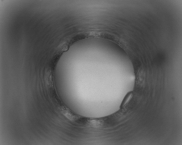 X0000067850522200604201311