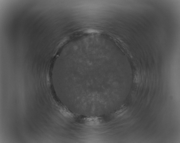 X0000067850524200604201311