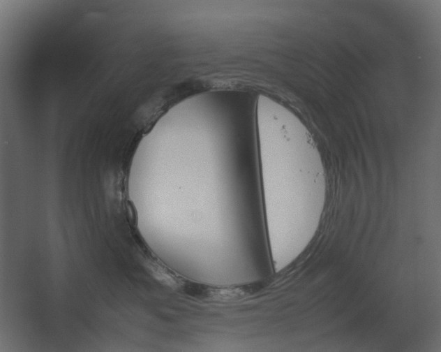 X0000067850525200604201311