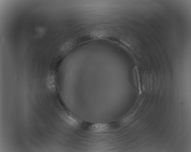 X0000067850526200604201311