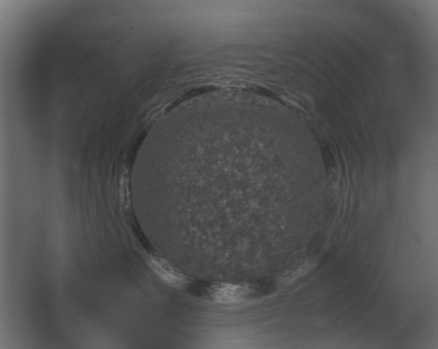 X0000067850527200604201311