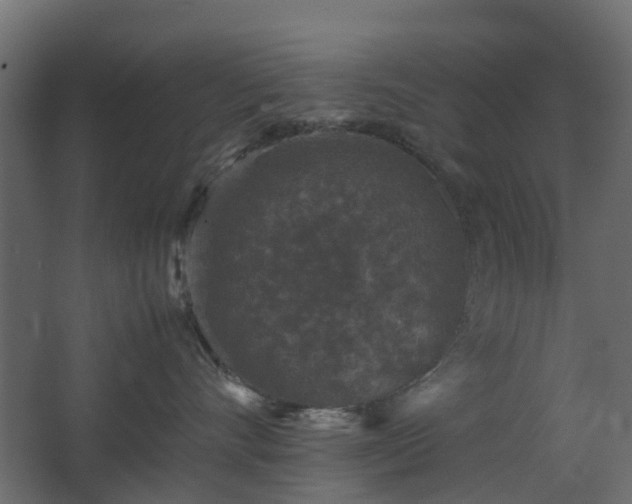 X0000067850528200604201311