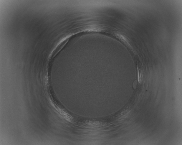 X0000067850531200604201310