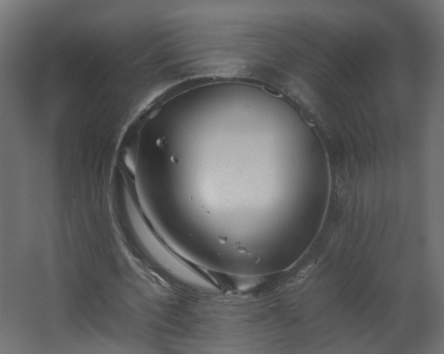 X0000067850532200604201310