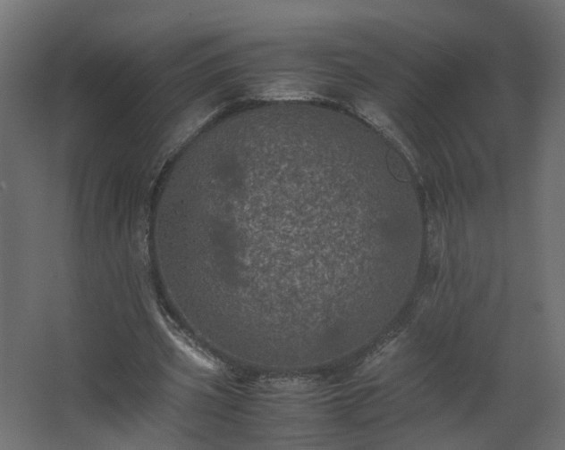 X0000067850533200604201310