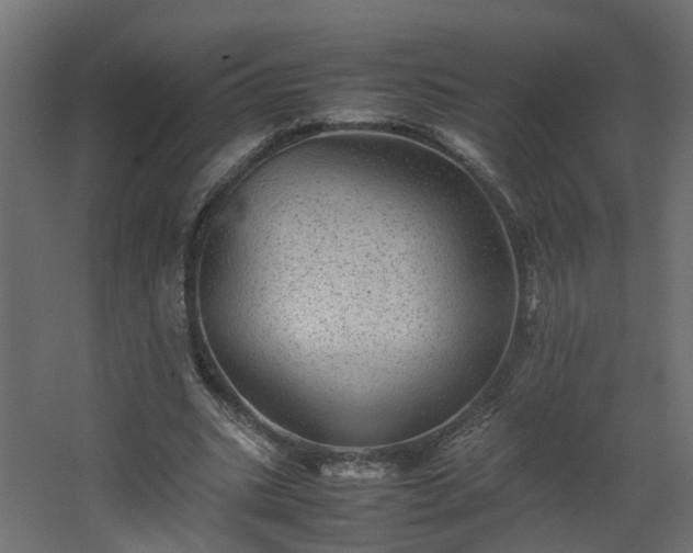 X0000067850535200604201310