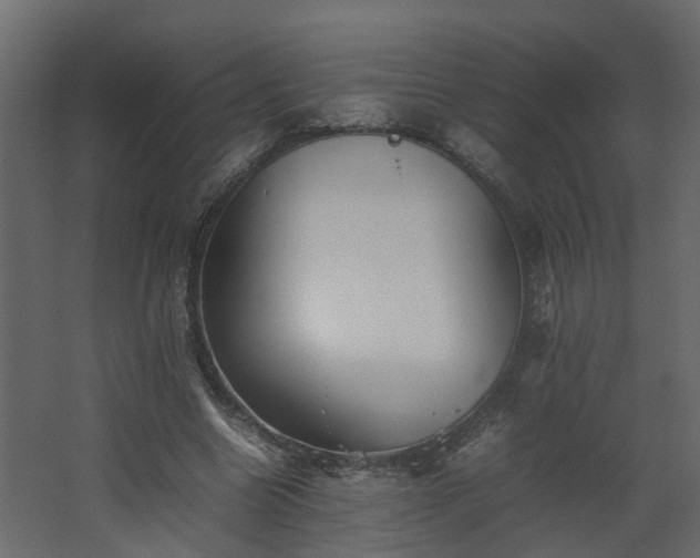 X0000067850538200604201310