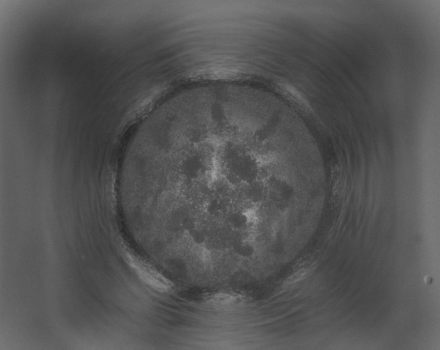 X0000067850542200604201310