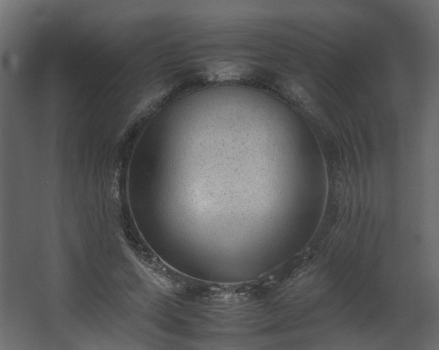 X0000067850543200604201310