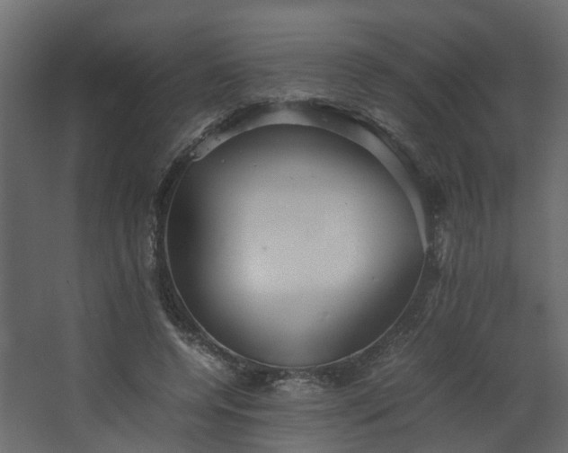 X0000067850544200604201310