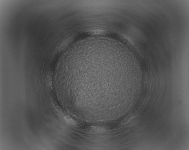 X0000067850545200604201310