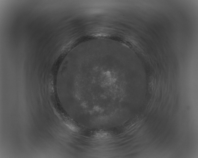 X0000067850547200604201310