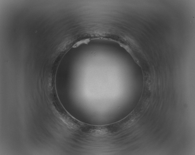 X0000067850548200604201310