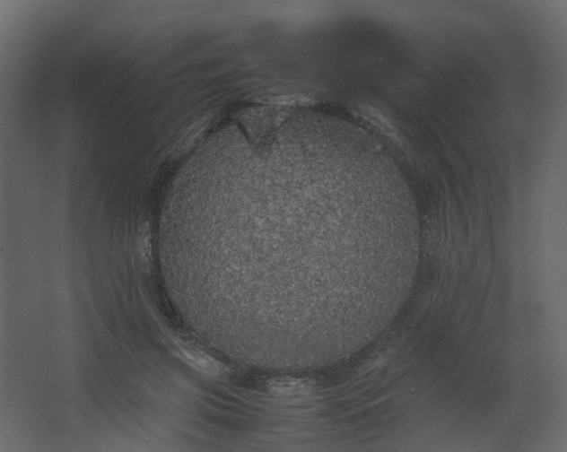 X0000067850549200604201310