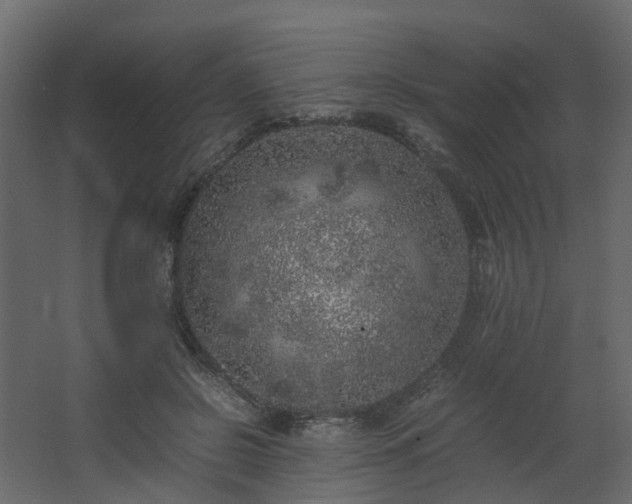 X0000067850550200604201310