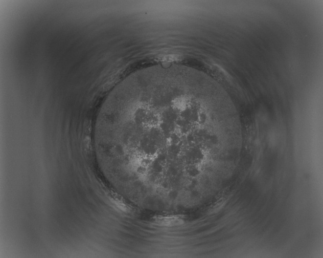 X0000067850553200604201310