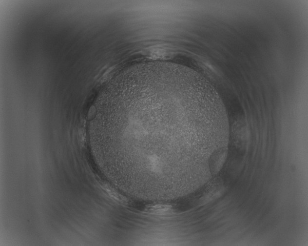 X0000067850554200604201310