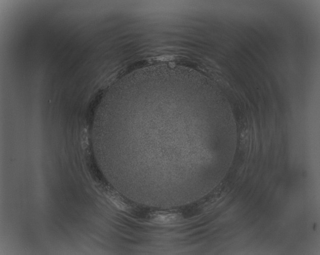 X0000067850555200604201310