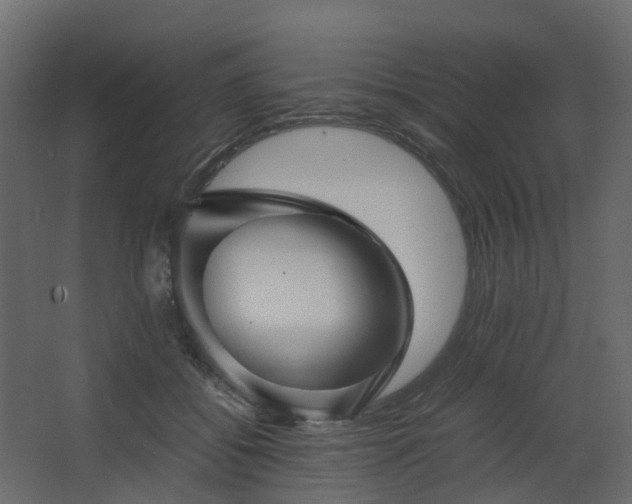 X0000067850556200604201310