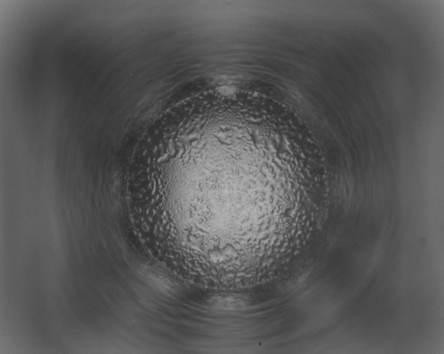 X0000067850557200604201310