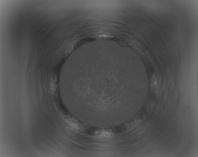 X0000067850559200604201310