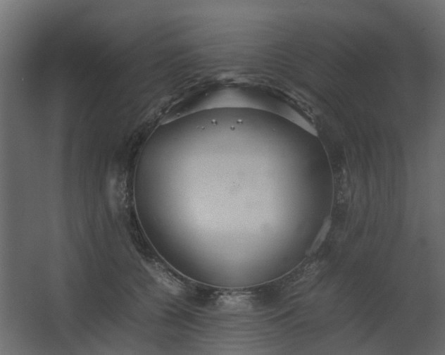 X0000067850560200604201310