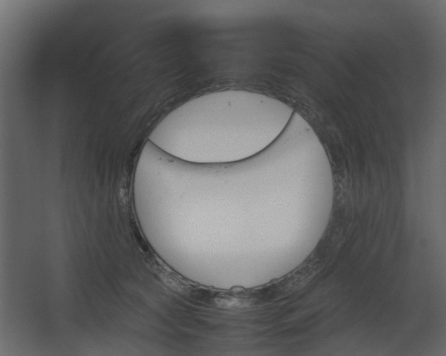 X0000067850561200604201310