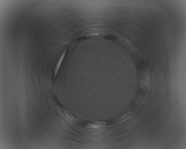 X0000067850563200604201310