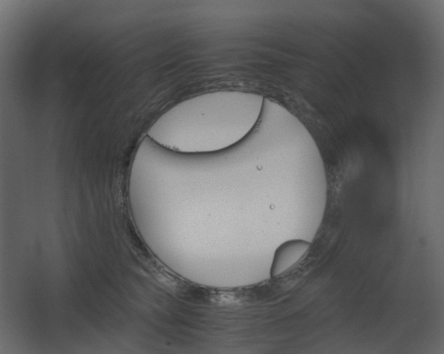 X0000067850565200604201310