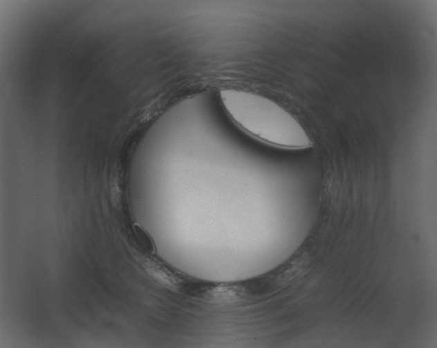 X0000067850566200604201310