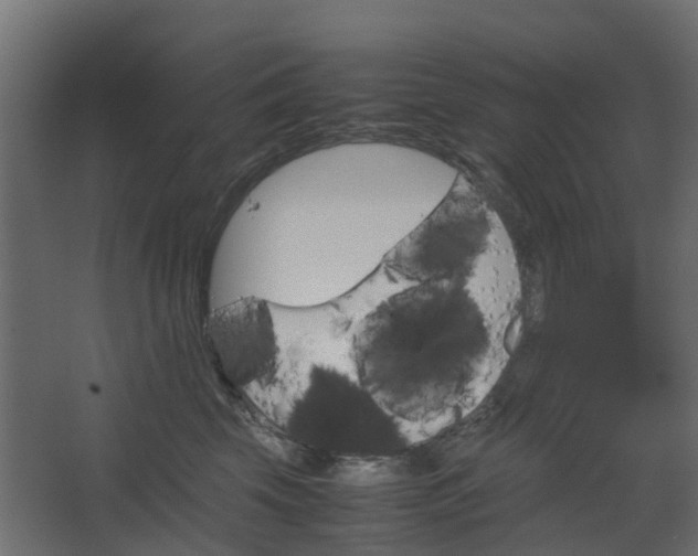 X0000067850569200604201310