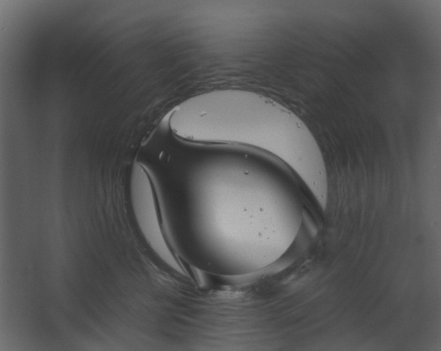 X0000067850570200604201310