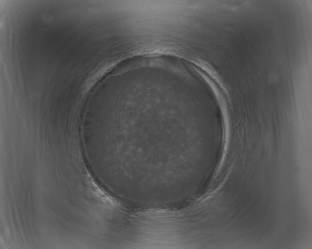 X0000067850577200604201310