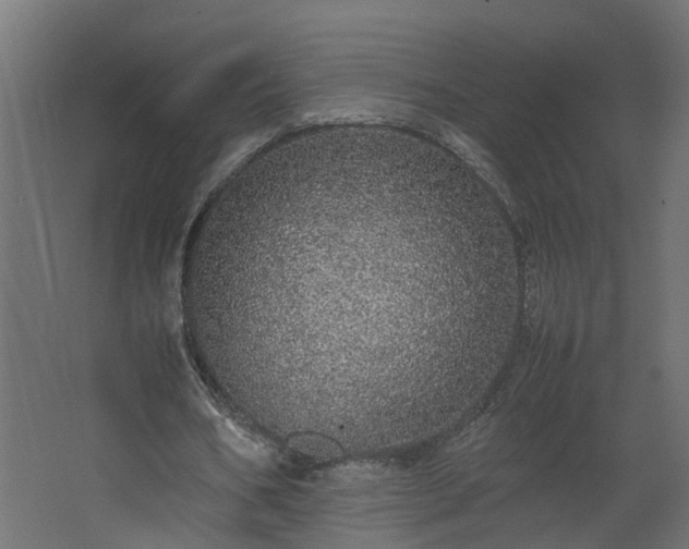 X0000067850578200604201310