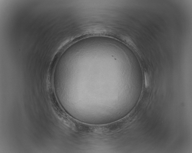 X0000067850579200604201310