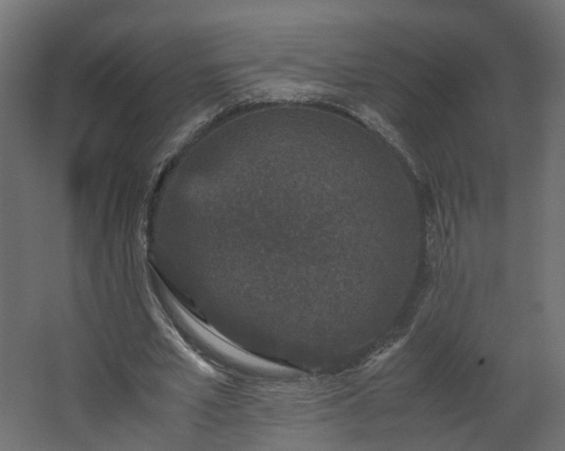 X0000067850581200604201310