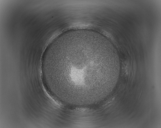 X0000067850582200604201310