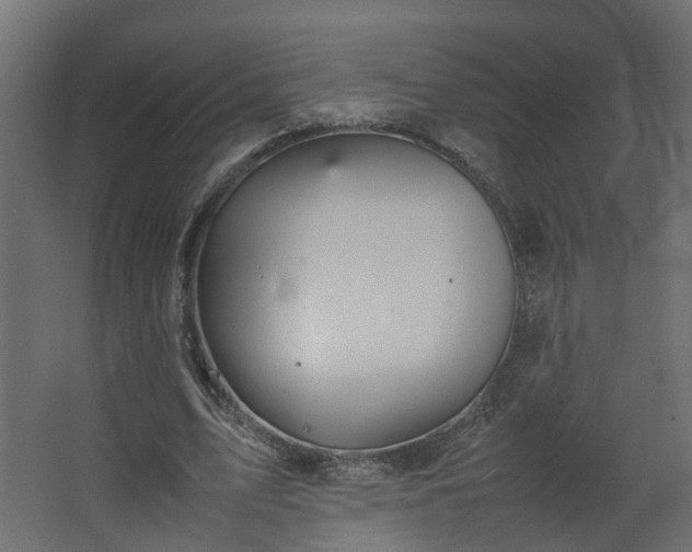 X0000067850583200604201310