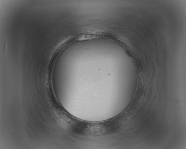 X0000067850587200604201309