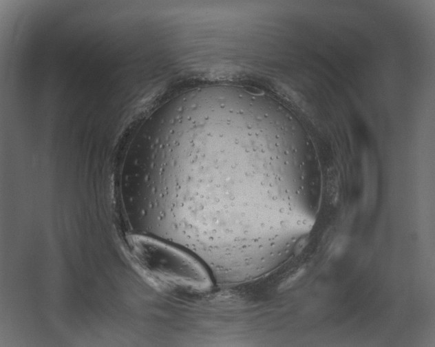 X0000067850589200604201309