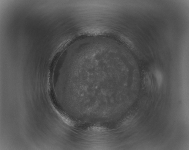 X0000067850590200604201309